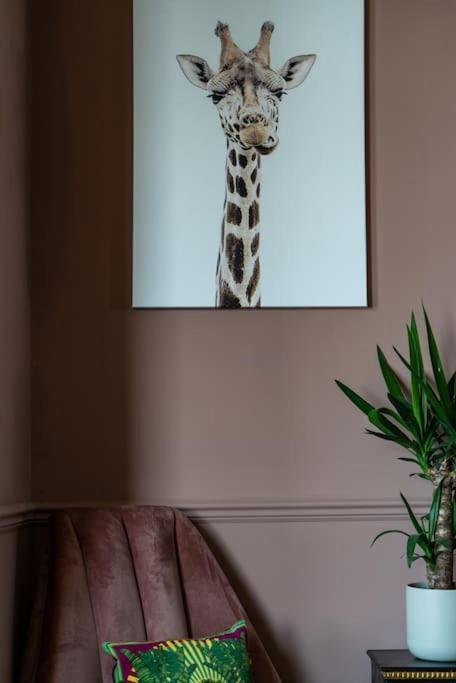 Stylish Beachfront Apartment, Sweeping Ocean Views And Luxury Touches Herne Bay Buitenkant foto