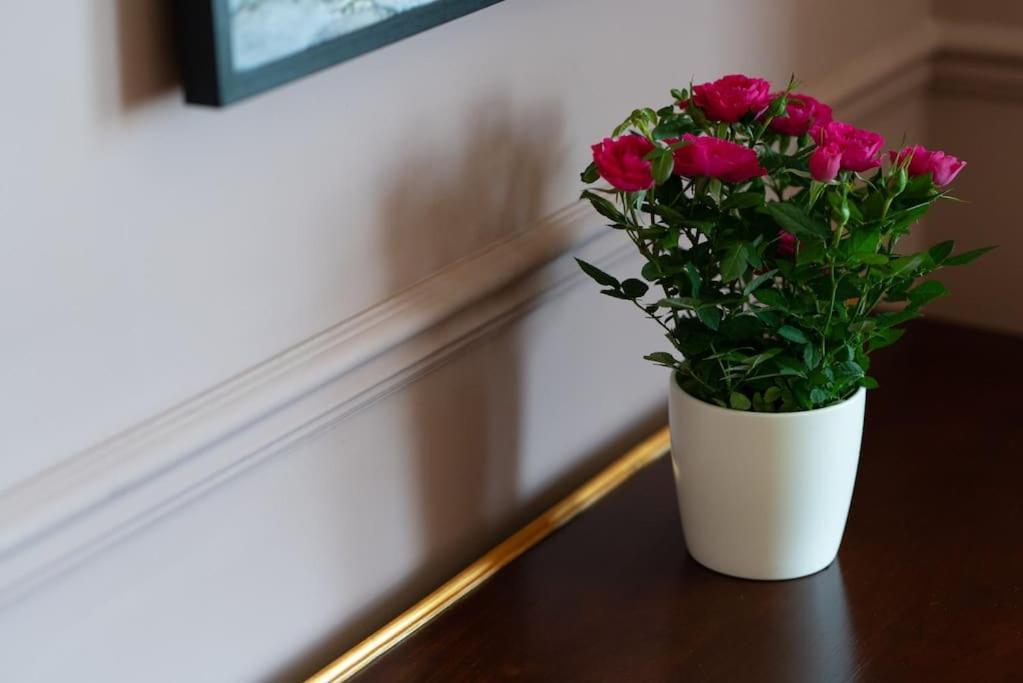 Stylish Beachfront Apartment, Sweeping Ocean Views And Luxury Touches Herne Bay Buitenkant foto